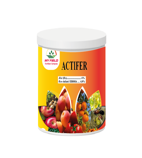 ACTIFER