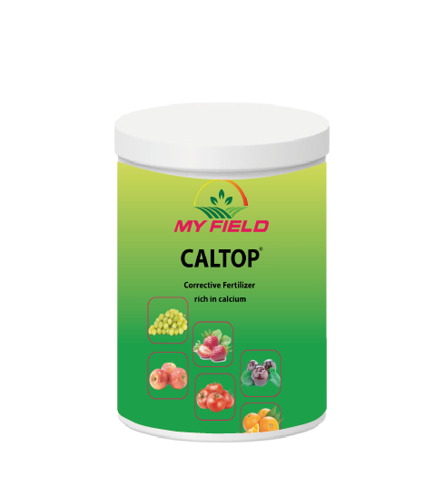CALTOP