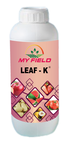 LEAF K