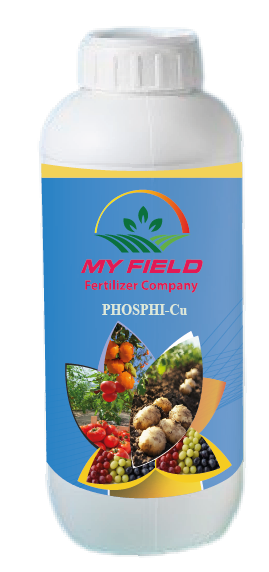 PHOSPHI-Cu