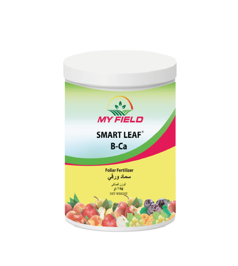 SMART LEAF B-Ca