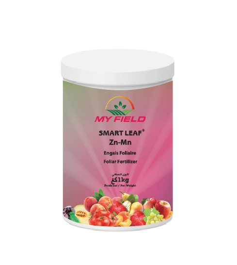 SMART LEAF Zn-Mn